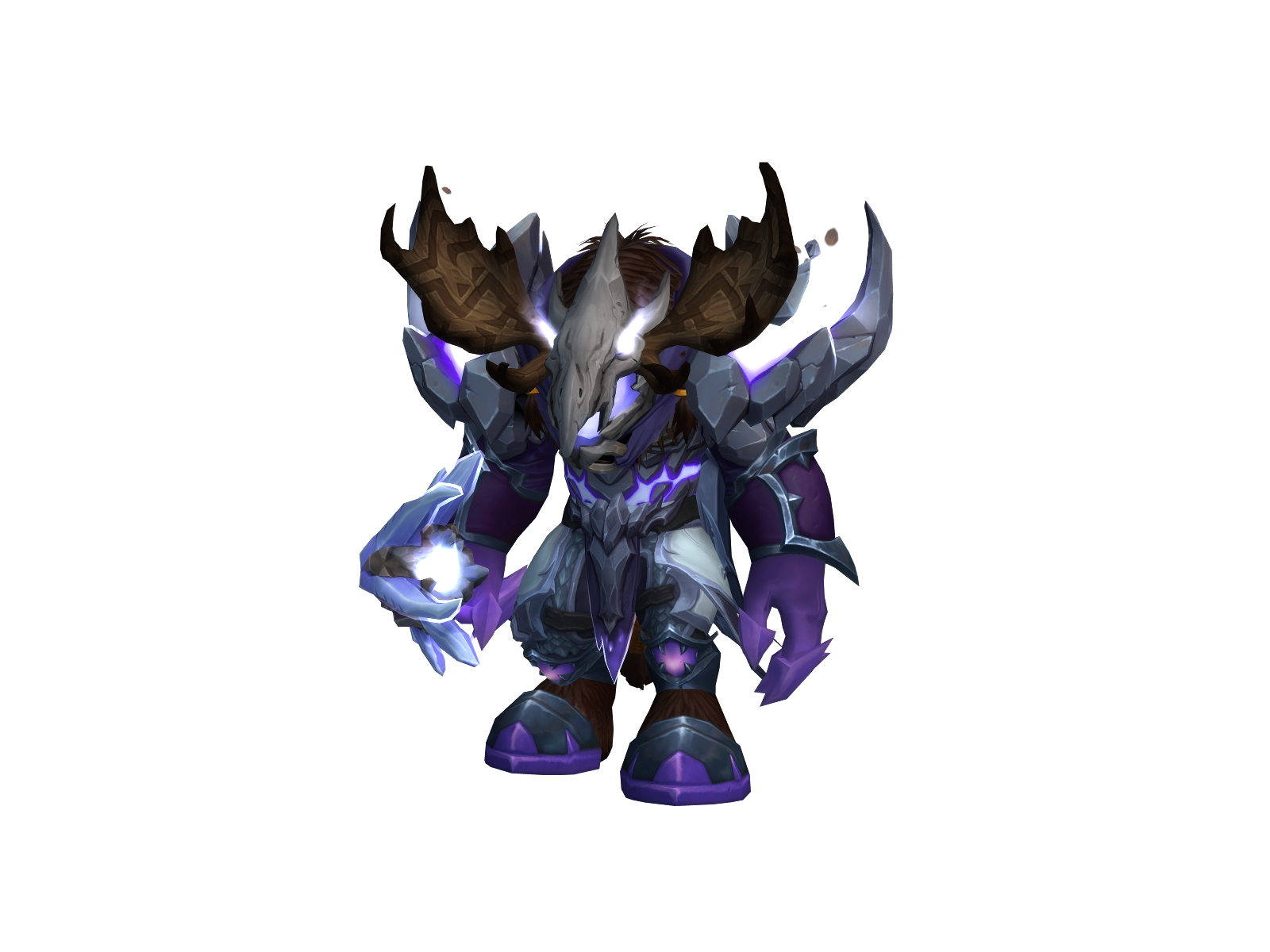 Koialces