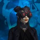 Sharktism avatar