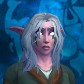 Heerofie