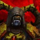 Sorakha avatar