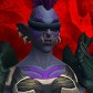 Schizah