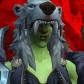 Bagginsdruid
