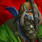 Saklaw avatar