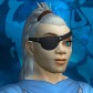 Labradorpld