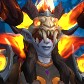 Aellopus