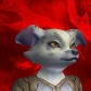 Leilo avatar
