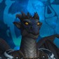 Dragosia