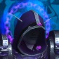Rinzpriest
