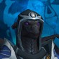 Stockedevo avatar