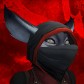Invari avatar