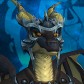 Snoot avatar