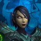 Elfywarrior