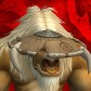 Fitpal avatar