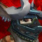 Gaararouge avatar
