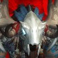 Zyconferal avatar