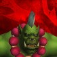 Razzw