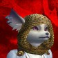 Zanaruse