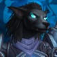 Winterhöwl avatar