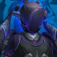 Xerinort
