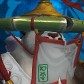 Sodyumfist