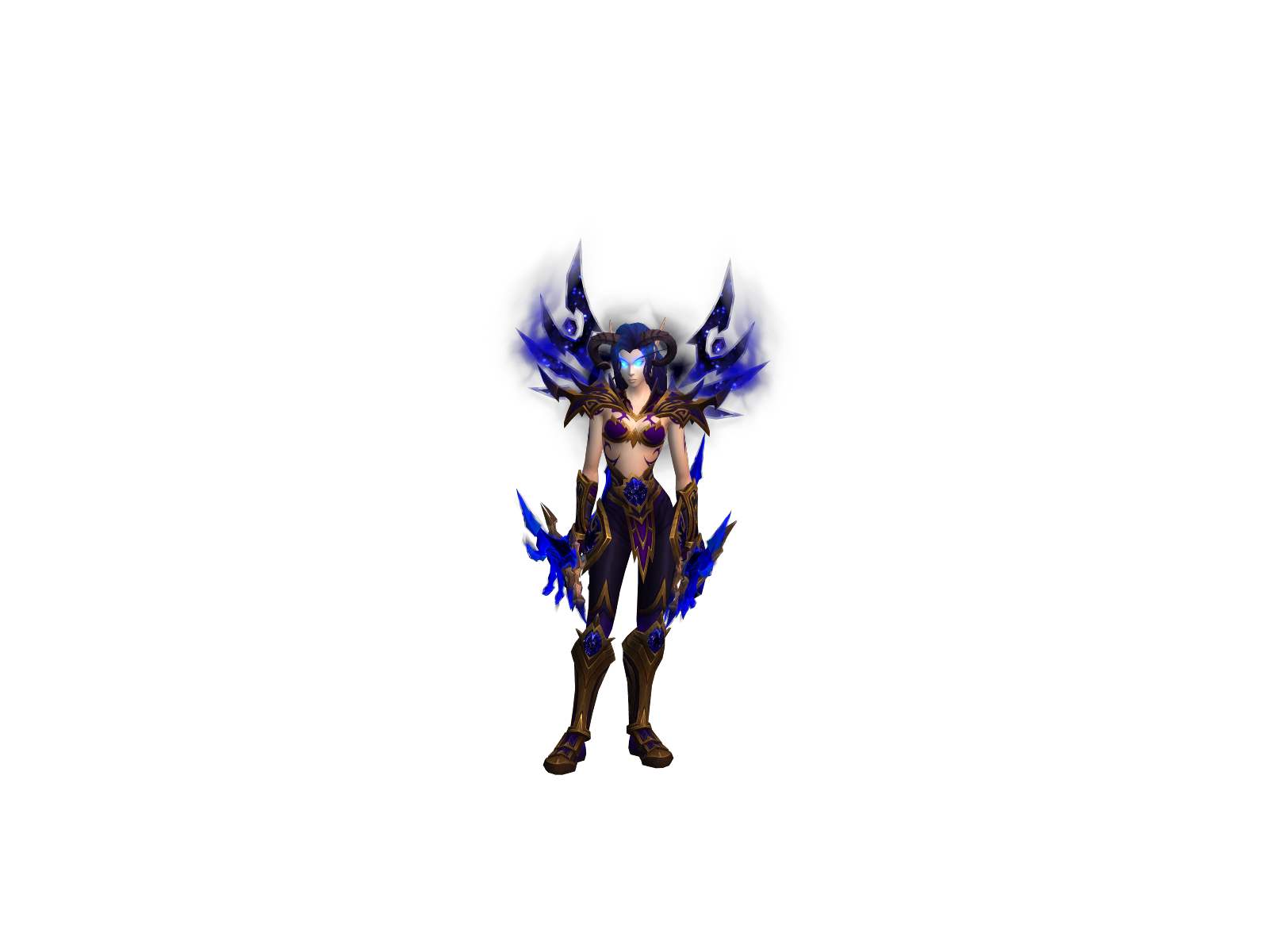 Belaedora