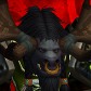 Bronc