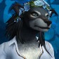 Ashír avatar