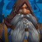 Torgmir avatar