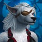Nellodruid