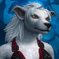 Cyrinor
