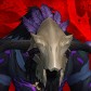 Sevenpaws avatar