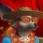 Ryk avatar