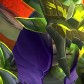 Jorikogo avatar