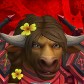 Tohuadin