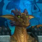 Zapallop