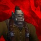Zaru