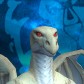 Caridraco