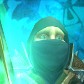 Anklestaber avatar