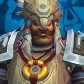 Whydruid