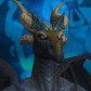 Ryadraca
