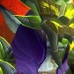 Screwolf avatar