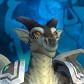 Tomdrev avatar