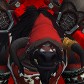 Invisibull