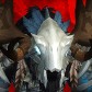 Baitou avatar