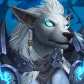 Daenordus