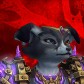 Macie avatar