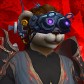 Lullu avatar