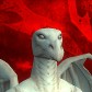 Drandy avatar
