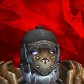 Razzala avatar