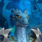 Drakkus